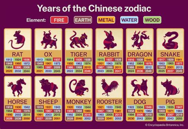 1955 Chinese Zodiac: Unveiling the Year of the Wood Sheep